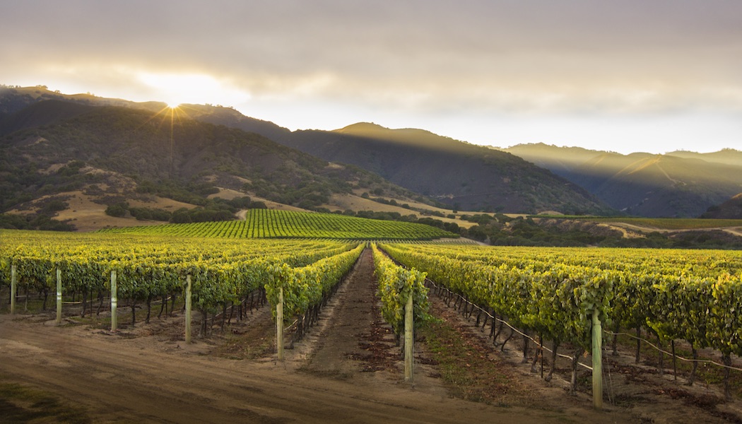 The Santa Lucia Highlands AVA has some of the most famous Pinot Noir ...